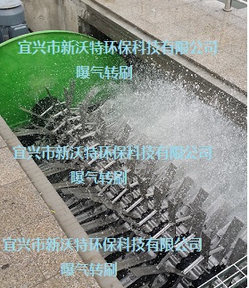 曝气转蝶（转刷）